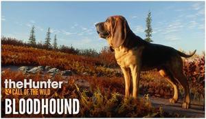 theHunter: Call of the Wild™ - Bloodhound - PC [Steam Online Game Code]