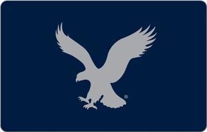 American Eagle Outfitters $10 Gift Card (Email Delivery)