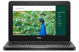 Dell Chromebook 3120 11.6" Clamshell Chromebook - HD - Intel N-Series N100 - 8 GB - 64 GB Flash Memory - Gray - ChromeOS - Intel UHD Graphics - Webcam - IEEE 802.11ax Wireless LAN Standard  NRD5N