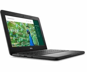 Dell Chromebook 3000 3120 11.6" Touchscreen Chromebook - Intel N-Series N100 - 8 GB - 64 GB Flash Memory - ChromeOS - Intel UHD Graphics - Webcam - IEEE 802.11ax Wireless LAN Standard  NGWKN