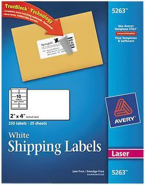 Avery TrueBlock Shipping Labels, Sure Feed Technology, Permanent Adhesive, 2" x 4", 250 Labels (5263)