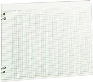 Wilson Jones G30-24 Accounting Sheets, 24 Columns, 11 x 14, 100 Loose Sheets/Pack, Green