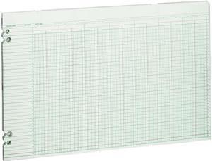 Wilson Jones G50-24 Accounting Sheets, 24 Columns, 11 x 17, 100 Loose Sheets/Pack, Green
