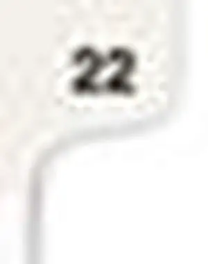 Avery 01022 Avery-Style Legal Side Tab Divider, Title: 22, Letter, White, 25/Pack