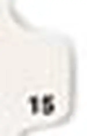 Avery 11925 Avery-Style Legal Side Tab Divider, Title: 15, Letter, White, 25/Pack