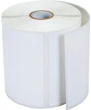 Brother RDS02U1 Premium Die Cut Paper Label, 4" x 6" (101.6mm x 152.4mm), 281 Labels/Roll - 1 Case (12 Rolls)