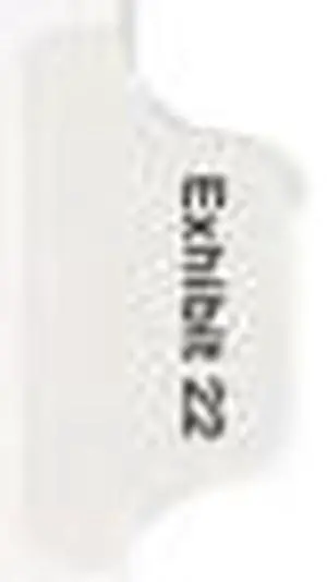 Avery 82154 Legal Exhibit Numeric Index Divider