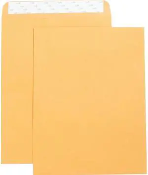 Business Source 42121 Catalog Envelopes, Self Seal, Plain, 10" x13", 250/BX, Kraft