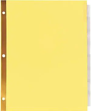 Universal UNV20891 Deluxe Extended Insertable Tab Indexes