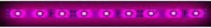 3 Meter LED Strip Light, Pink