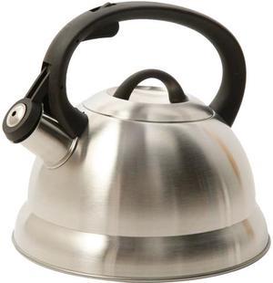 MR. COFFEE 91407.02 Flintshire 1.75-Quart Stainless Steel Whistling Tea Kettle, Silver