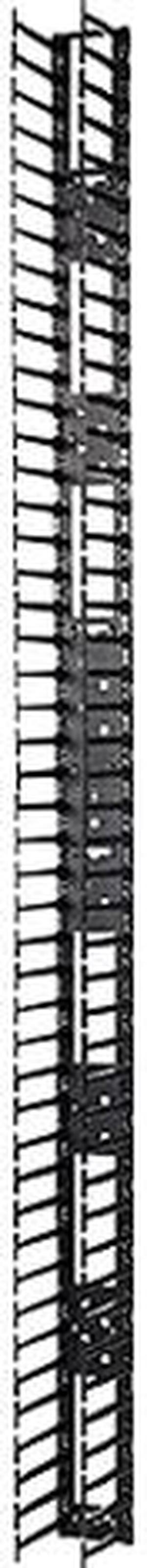 APC Vertical Cable Manager for NetShelter SX 750mm Wide 48U (Qty 2)