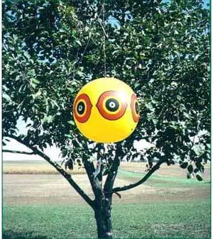 Bird-X SE-Y Scare-Eye Balloon Frighten Birds Away