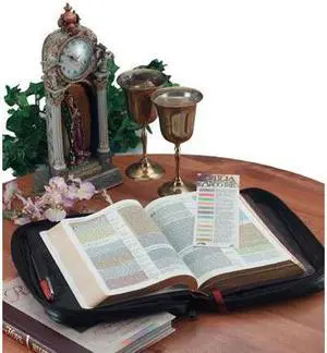 Embassy Italian Stone Design Genuine Leather Bible Cover
