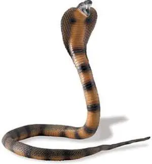 Safari 260329 Posable Coiling Cobra Animal Figure