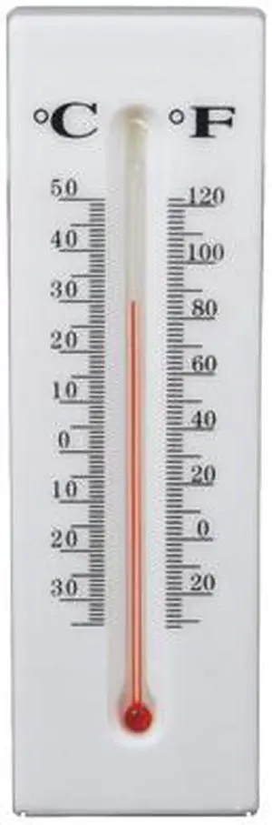 Safety Technology DS-THERMOMETER Themometer Diversion Safe