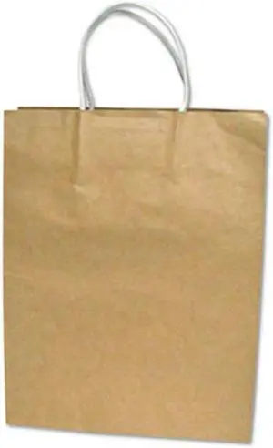 Consolidated Stamp 091566 Premium Large Brown Paper Shopping Bag, 50-Box