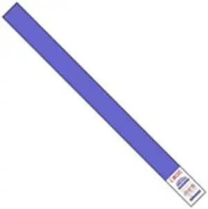 Tyvek WR101BE 0.75 x 10 in. Blue Wristbands - Case of 500
