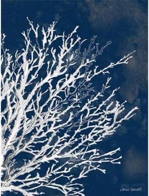 Sun Dance Graphics PDX8599LLSMALL Coastal Coral II Poster Print by Lanie Loreth, 9 x 12 - Small