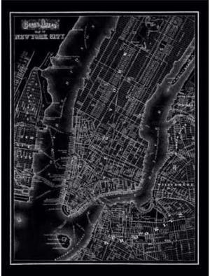 Classic Collections PDXCC3316SMALL New York 1895 Poster Print by 1895 Vintage Map, 9 x 12 - Small