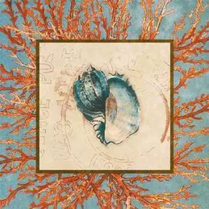 Sun Dance Graphics PDX8599DSMALL Coral Medley Shell II Poster Print by Lanie Loreth, 12 x 12 - Small