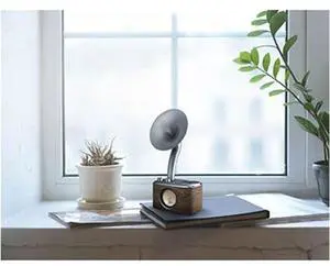 Sangean CP-100 AM & FM Radio with Bluetooth Speaker & Aux-Input Sangean CP-100 AM & FM Radio with Bluetooth Speaker & Aux-Input