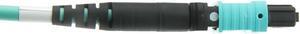 Plenum Fiber Optic Cable, MTP / MTP (MPO), Multimode, Duplex, 12 Strand, 40/100 Gbps, 50/125, 3 meter (10 foot)
