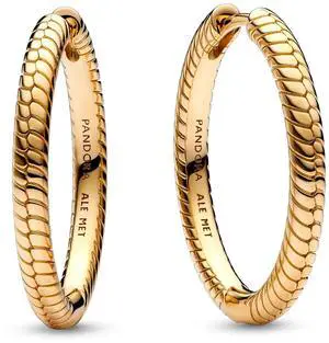 Pandora Moments Charm Hoop Earrings
