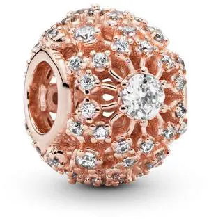Pandora Inner Radiance Openwork Charm - Pandora Inner Radiance Openwork Charm -