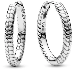 Pandora Moments Small Charm Hoop Earrings Pandora Moments Small Charm Hoop Earrings