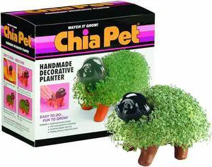 Chia Pet Planter - Puppy