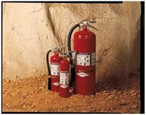 AMEREX B410T Fire Extinguisher, 10B:C, Purple K, 2.5 lb