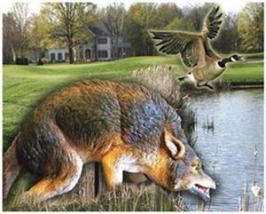 Coyote Bird Repeller, 3D