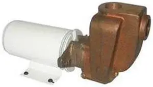 DAYTON 5PXX5 Brass 1/8 HP Centrifugal Pump 12V