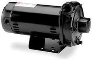 DAYTON 4RJ73 Cast Iron 3/4 HP Centrifugal Pump 208-230/460V