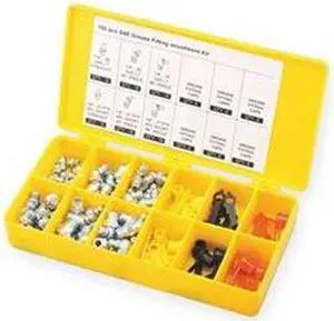 WESTWARD 3APF5 Grease Fitting And Cap Kit,Metric,100 PC