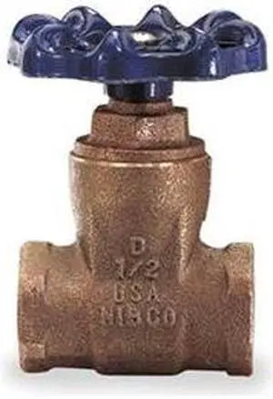 Valve, Gate, 3/4 In, Bronze