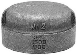ANVIL 0318900768 2-1/2" Malleable Iron Cap