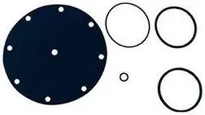 WATTS 100RK-4 Valve Rebuild Kit, For Use with 6CJP5