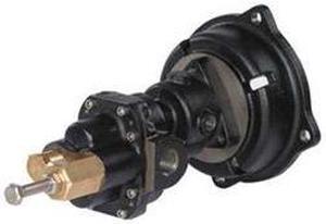 DAYTON 4KHC9 Rotary Gear Pump Head, 1 In., 1 1/2 HP