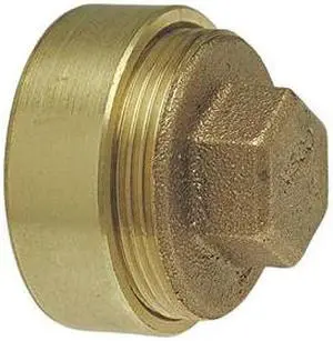 DWV Cleanout, 2 In, Ftg, w/Plug
