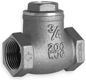 Swing Check Valve, 1 In, FNPT, Brass