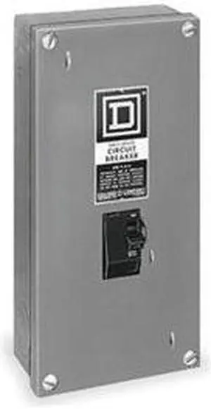 Molded Case Switch100a