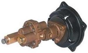 DAYTON 4KHC2 Rotary Gear Pump Head, 1/2 In., 3/4 HP
