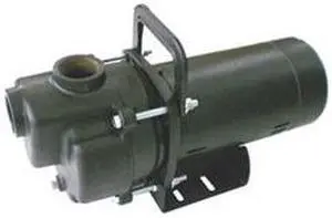 DAYTON 4YKP5 Centrifugal Pump, 1/3 hp, 115/230V AC, 1 Phase, 32 ft Max Head