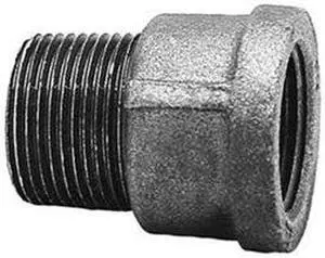 ANVIL 0310095427 Malleable Iron Extension Class 150