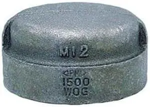 ANVIL 0318901410 2-1/2" Malleable Iron Cap