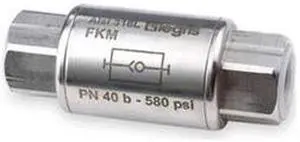 LEGRIS 4895 22 22 1/2" FNPT Stainless Steel Spring Check Valve PK2
