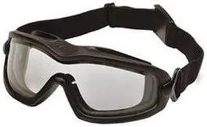 Dual Pane Goggle, Clear Lens, Antifog