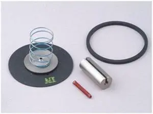 DAYTON 066049 Valve Rebuild Kit,Instructions,3/4 in.